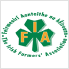 IFA