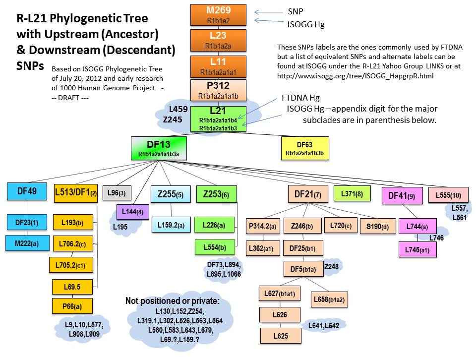 L21 Tree