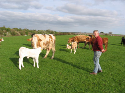 Michael Biggins on his farm in Ballynalty