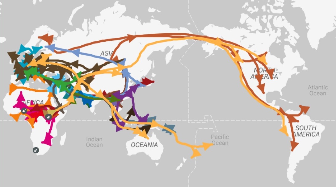 My Y Map