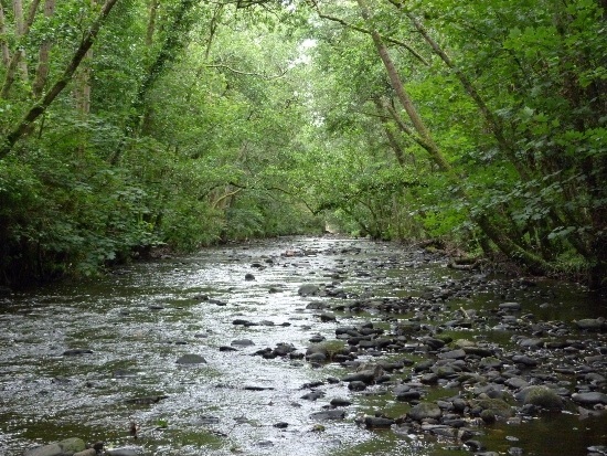 River Faughan