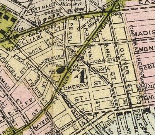 1891 map