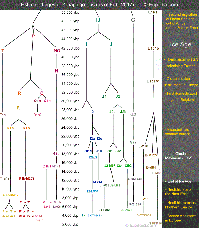 Haplogroup timeline from Eupedia