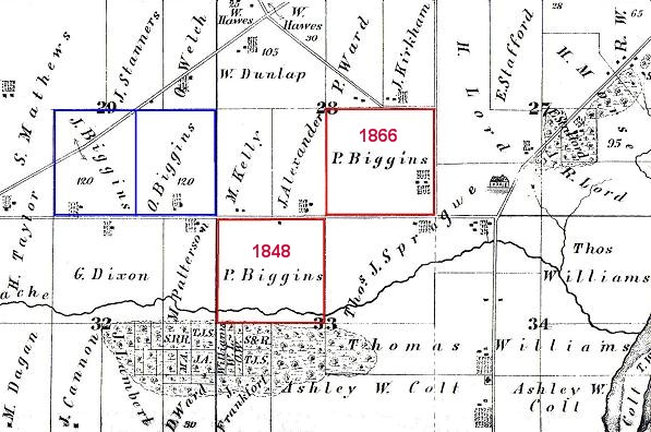 DuPage Township, 1873